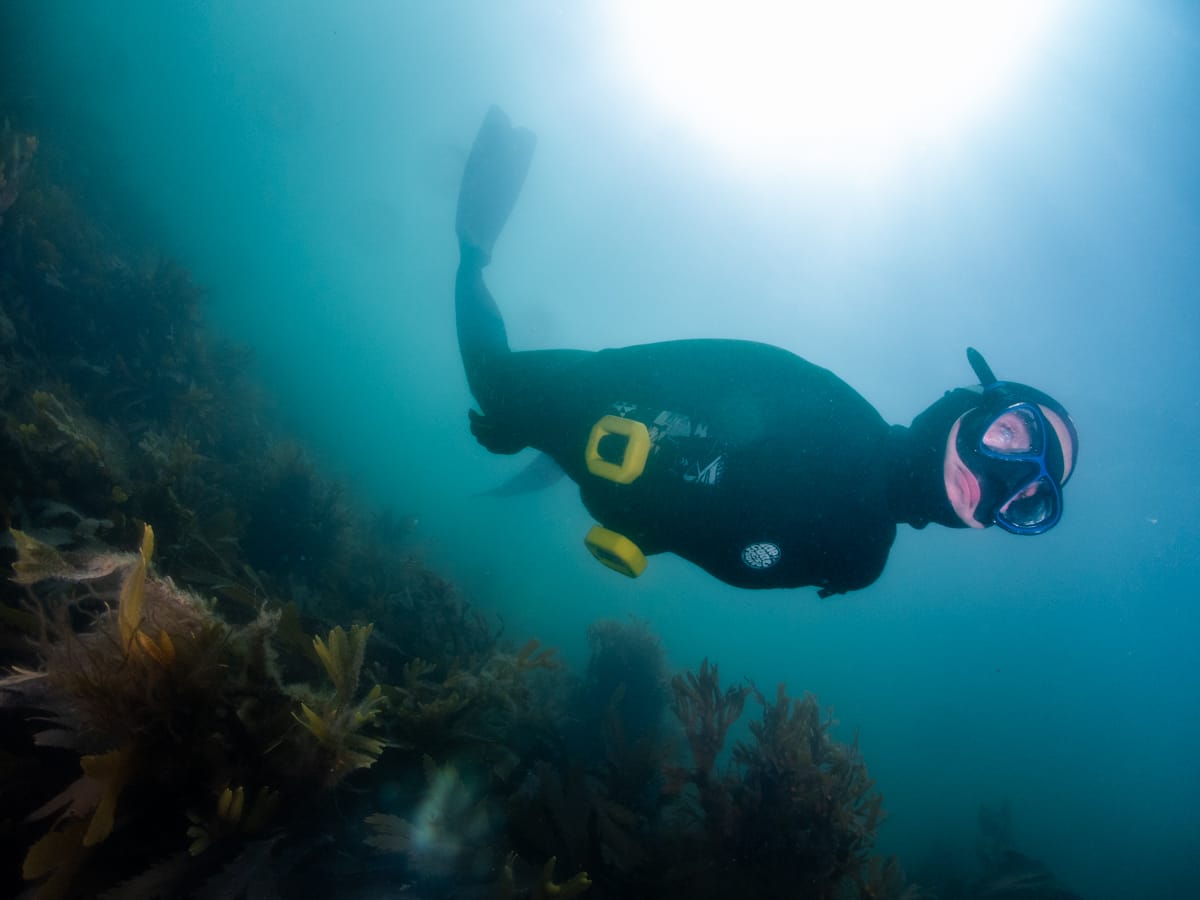 Guided Snorkel Experience