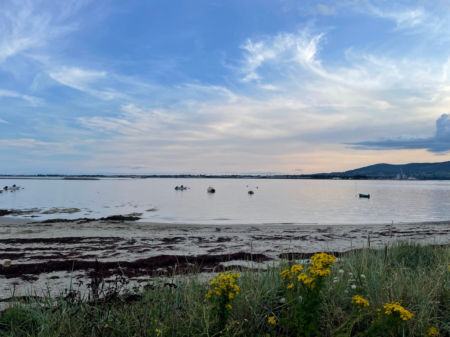 SSI Marine Ecology Course & Experiences