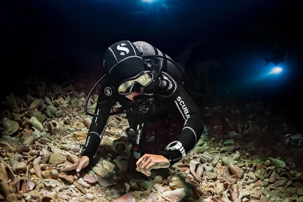 Night Diving and Limited Visibility