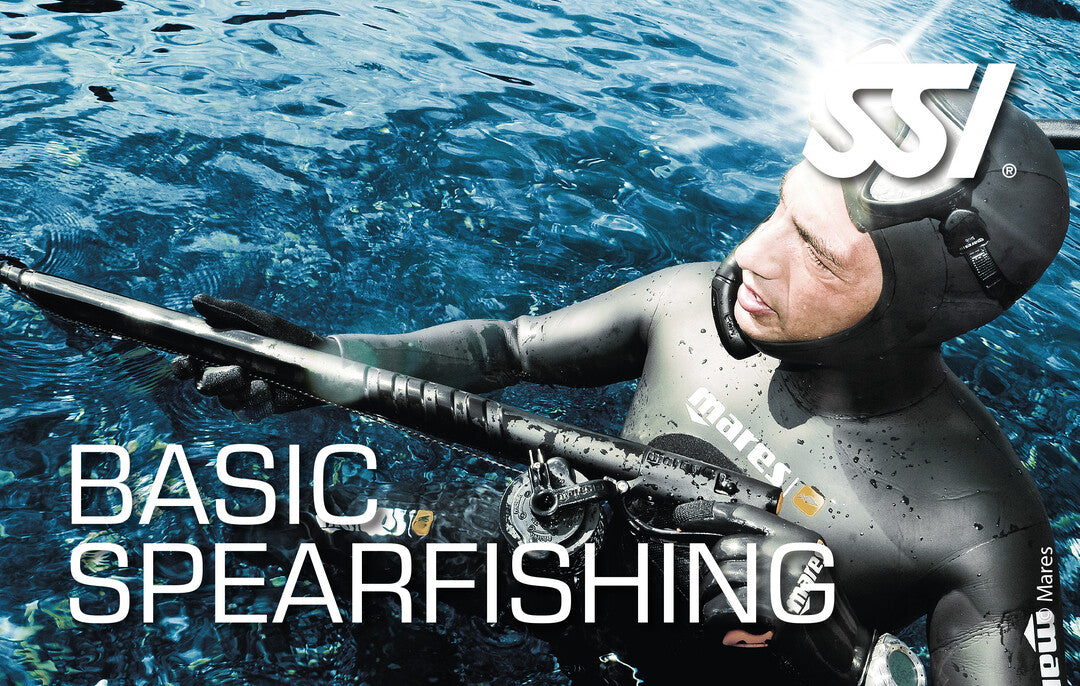 Basic Spearfishing