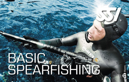 Basic Spearfishing