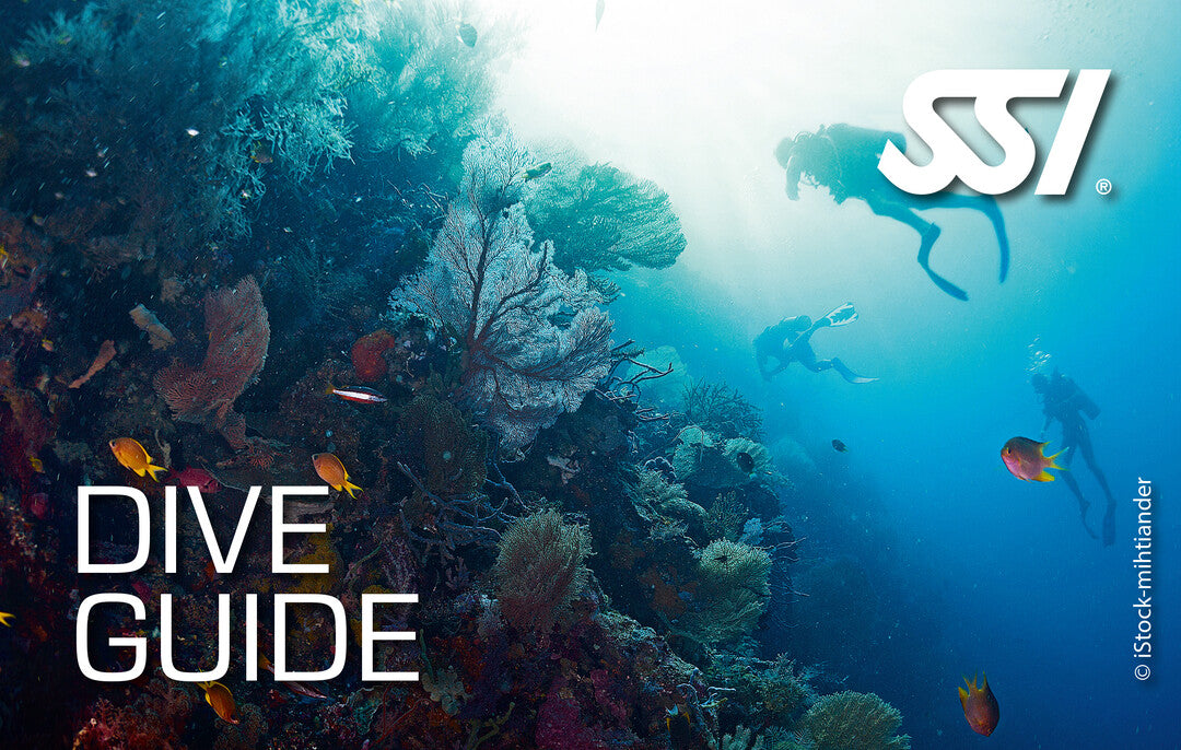 SSI Divemaster Course
