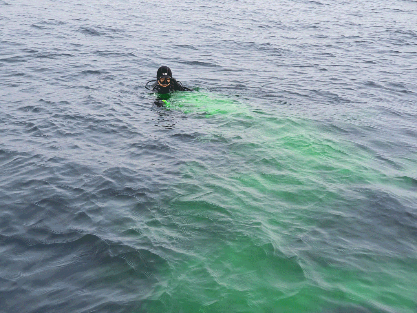 Demonstration of SMP marker dye at the water surface; visibility varies with conditions