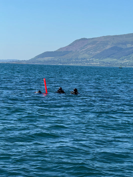 What I wear for a winter dive in Carlingford Lough