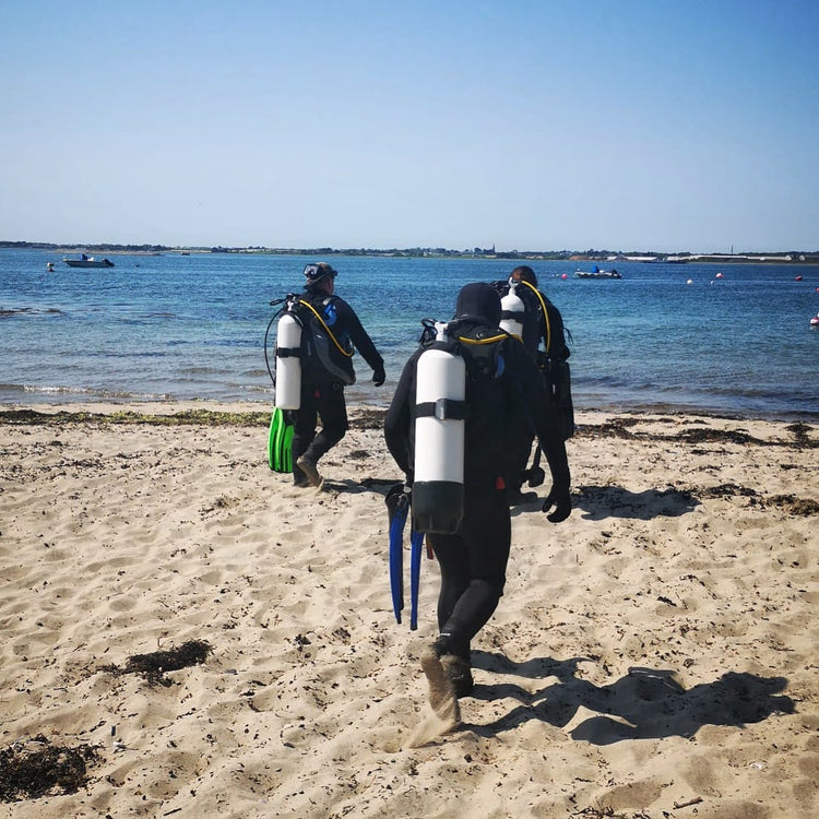 Beginner Diving Experiences