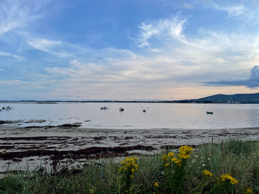 SSI Marine Ecology Course & Experiences