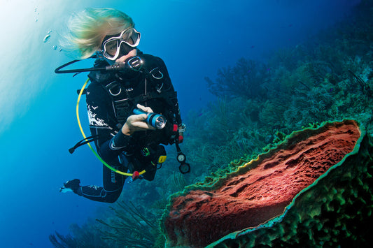 SSI Instructor Training Course