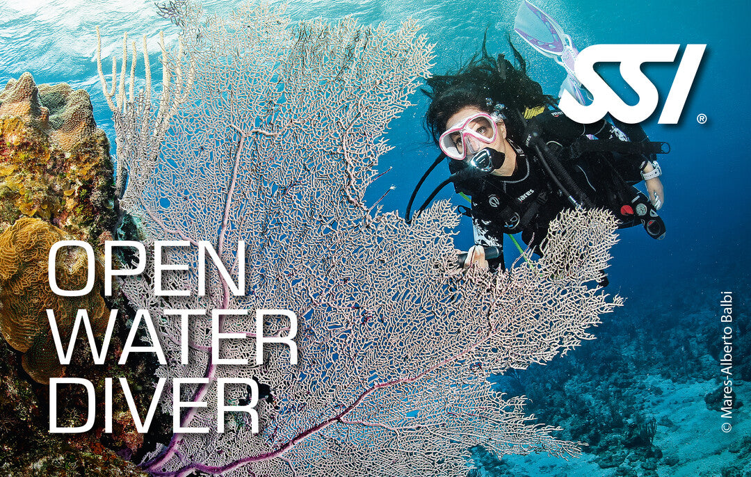 Open Water Diver Plus Bundle