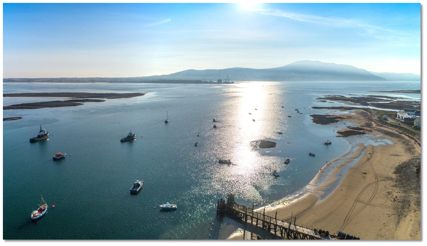 SSI Marine Ecology Course & Experiences