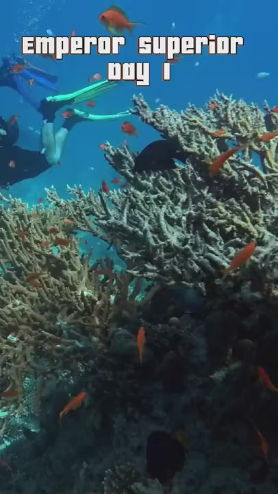 Customer favourite dives aboard Emperor Superior, day 1